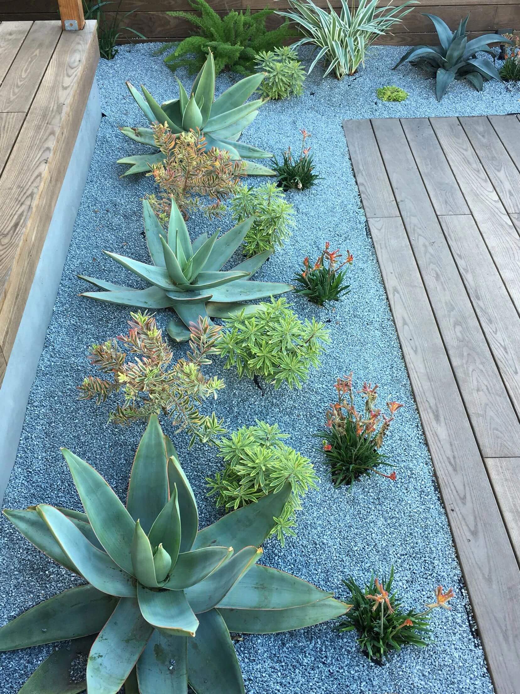 طراحی باغ باغچه حیاط17